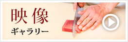映像ギャラリー